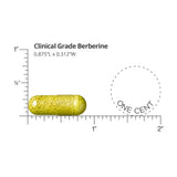 DR.WHITAKER Clinical Grade Berberine 1500mg capsules side view