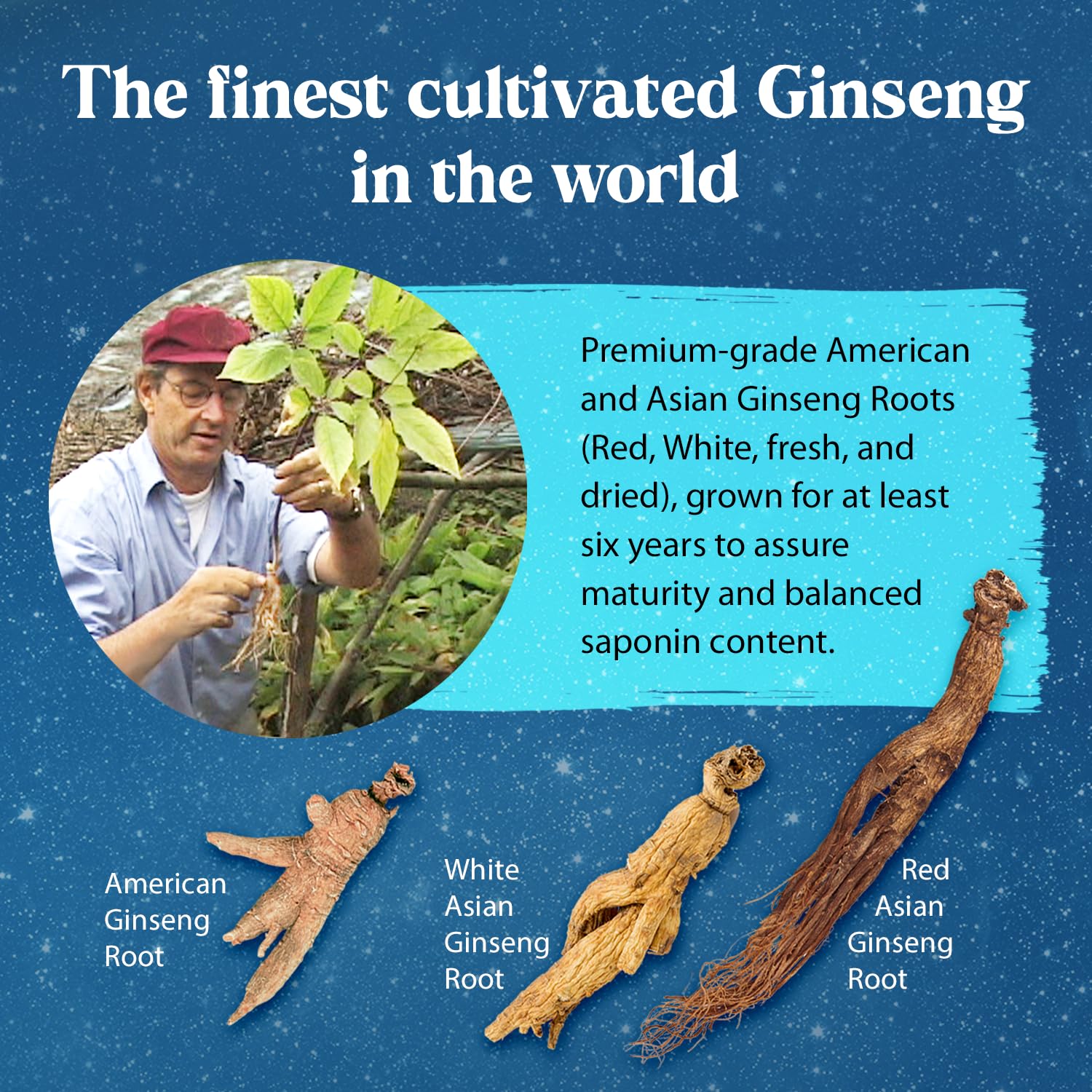 Dragon Herbs Ginseng Sublime 118g ingredients list