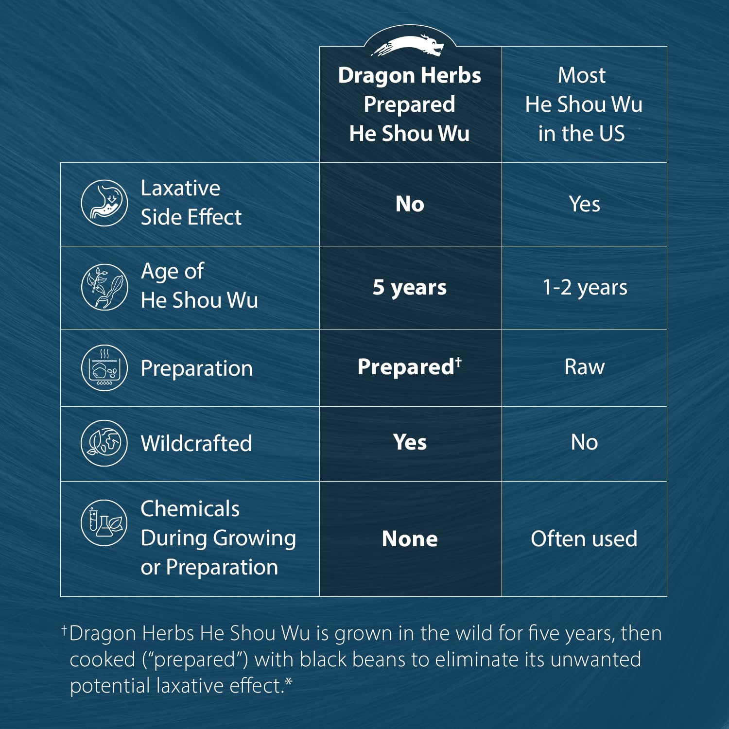 Dragon Herbs He Shou Wu capsules close-up