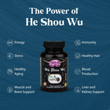Dragon Herbs He Shou Wu supplement bottle side view
