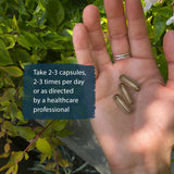 Dragon Herbs He Shou Wu supplement ingredients list
