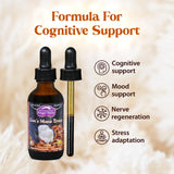 Dragon Herbs Lion's Mane Mushroom Tincture 57g packaging details