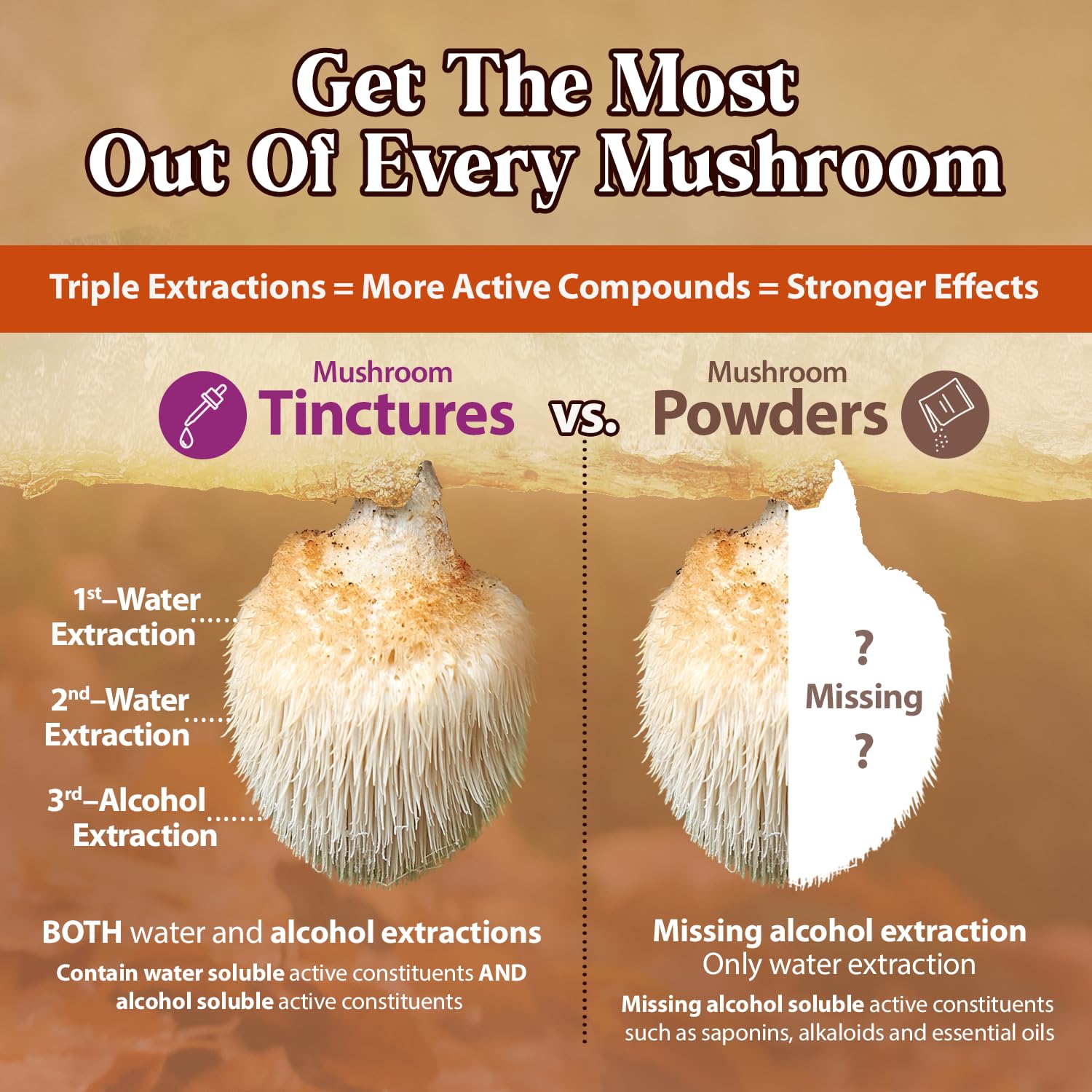Dragon Herbs Lion's Mane Mushroom Tincture 57g with coffee