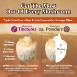 Dragon Herbs Lion's Mane Mushroom Tincture 57g with coffee