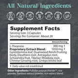 Dragon Herbs Tao in a Bottle capsules in a clear container