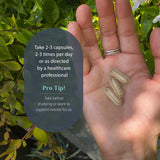 Dragon Herbs Tao in a Bottle lifestyle scene with herbal elements