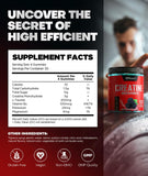 Dralot Nutrition Creatine Monohydrate Gummies close-up of gummies