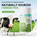 DrBioCare Collagen Supplement side view showing ingredients
