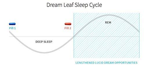Dream Leaf Pro capsules in hand