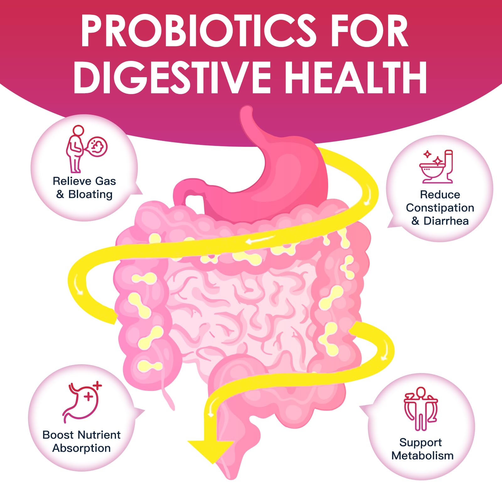 DRFOSTER Women’s Probiotics ingredients list