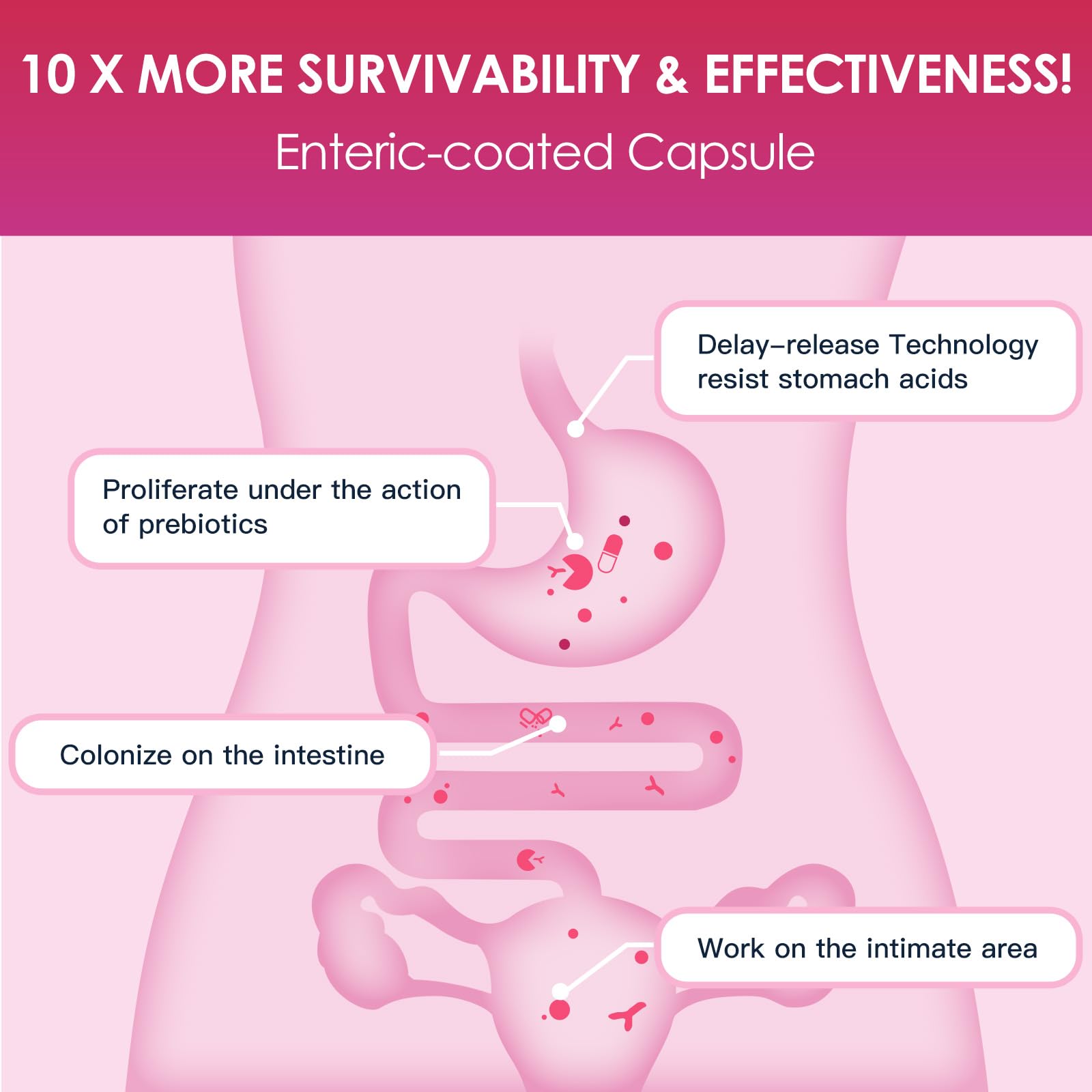 DRFOSTER Women’s Probiotics packaging details