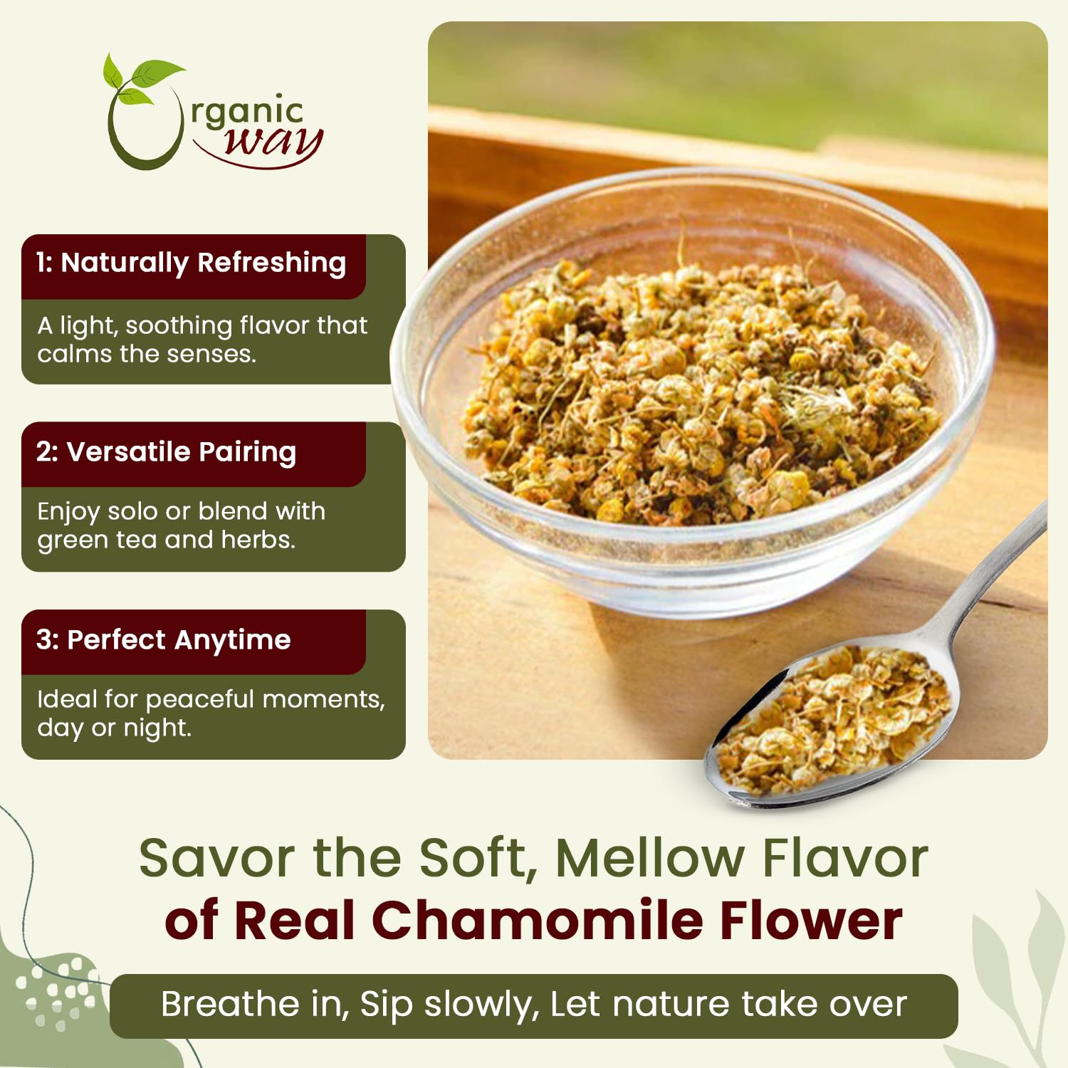 Dried chamomile flowers in a tea cup