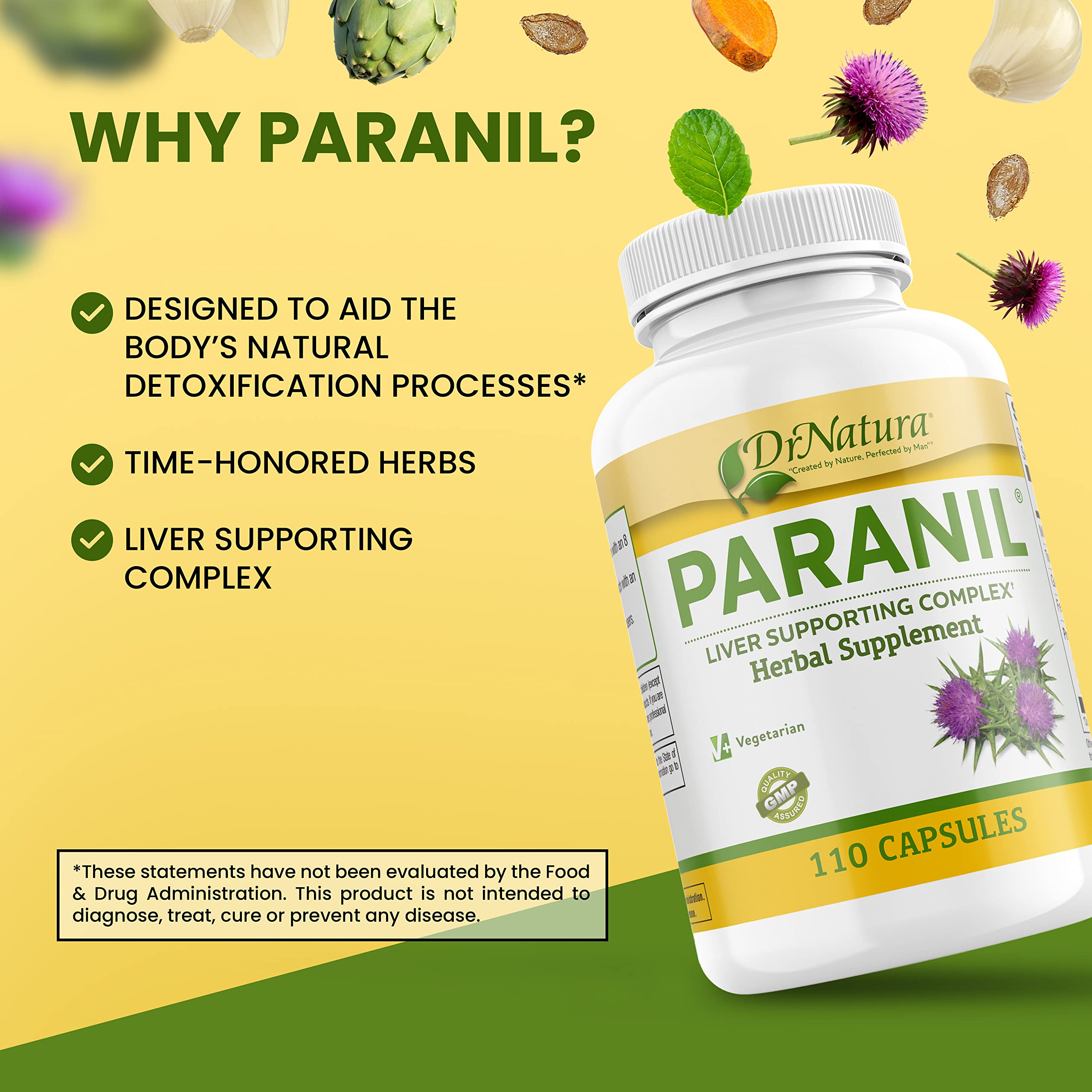 DrNatura Paranil Milk Thistle Supplement back view with ingredient list