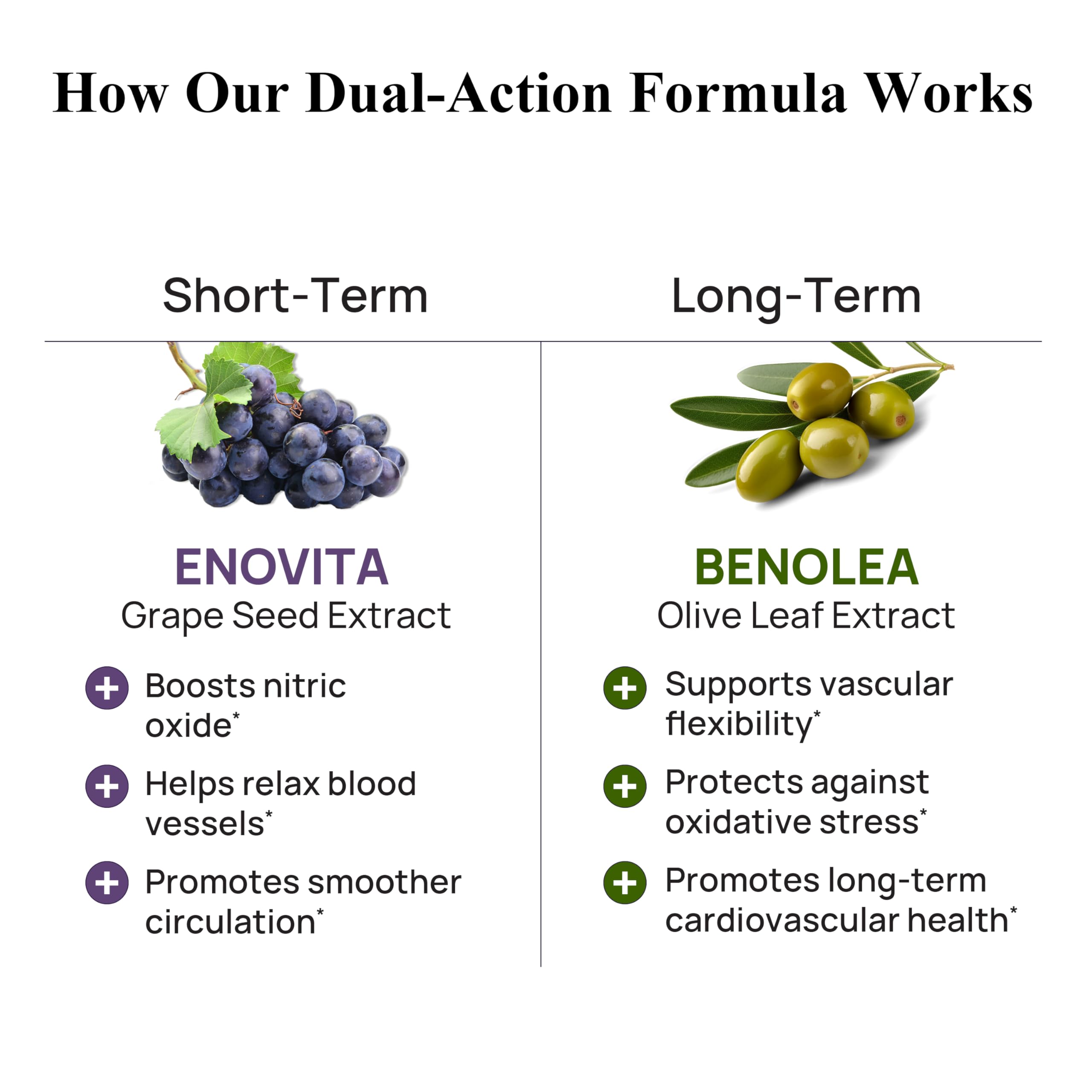 Durable Blended Vitamin & Mineral Supplement ingredients list