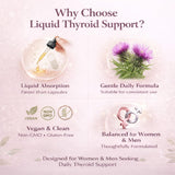 DXWXH Thyroid Support Drops in a glass of water