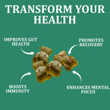 DYDUON Daily Greens Gummies easy-to-carry packaging