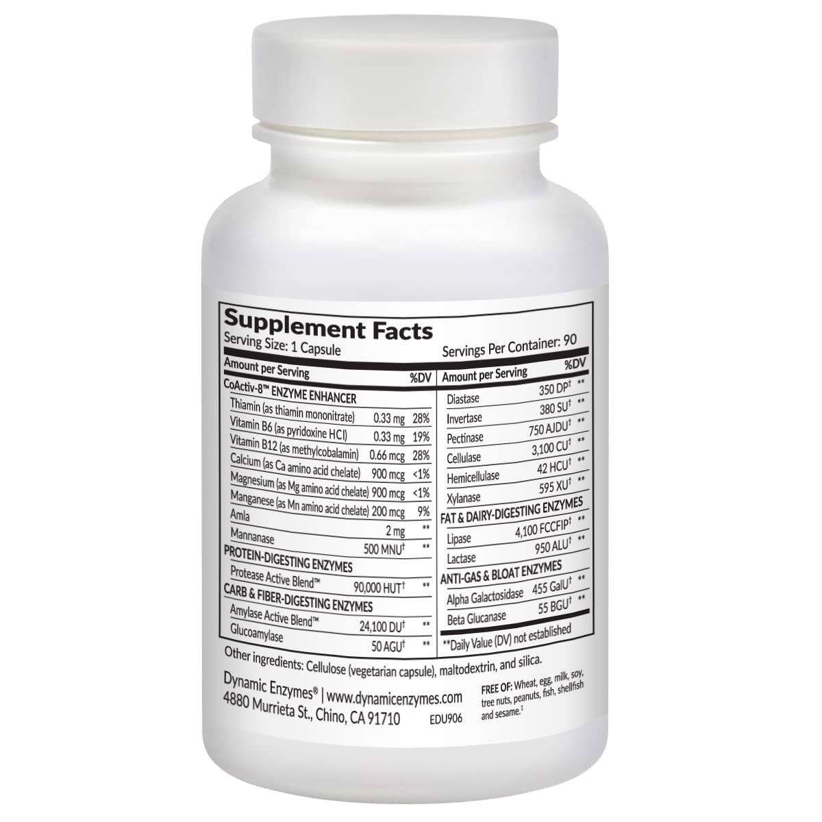 Dynamic Enzymes Eat E-Z Ultra Multi-Enzyme Supplement lifestyle scene
