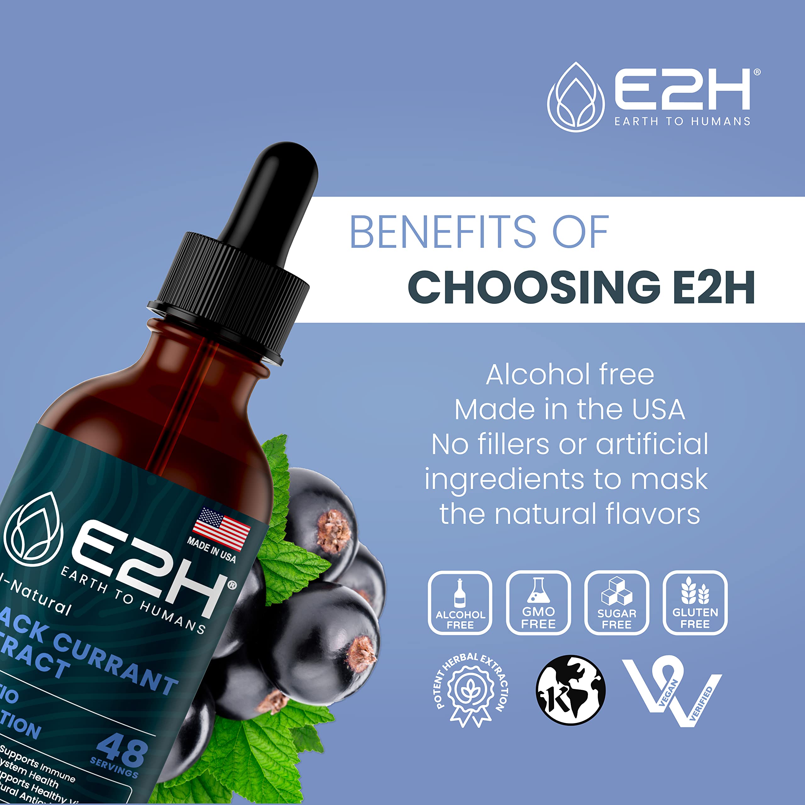 E2H Black Currant Oil 2oz bottle with a fresh black currant background