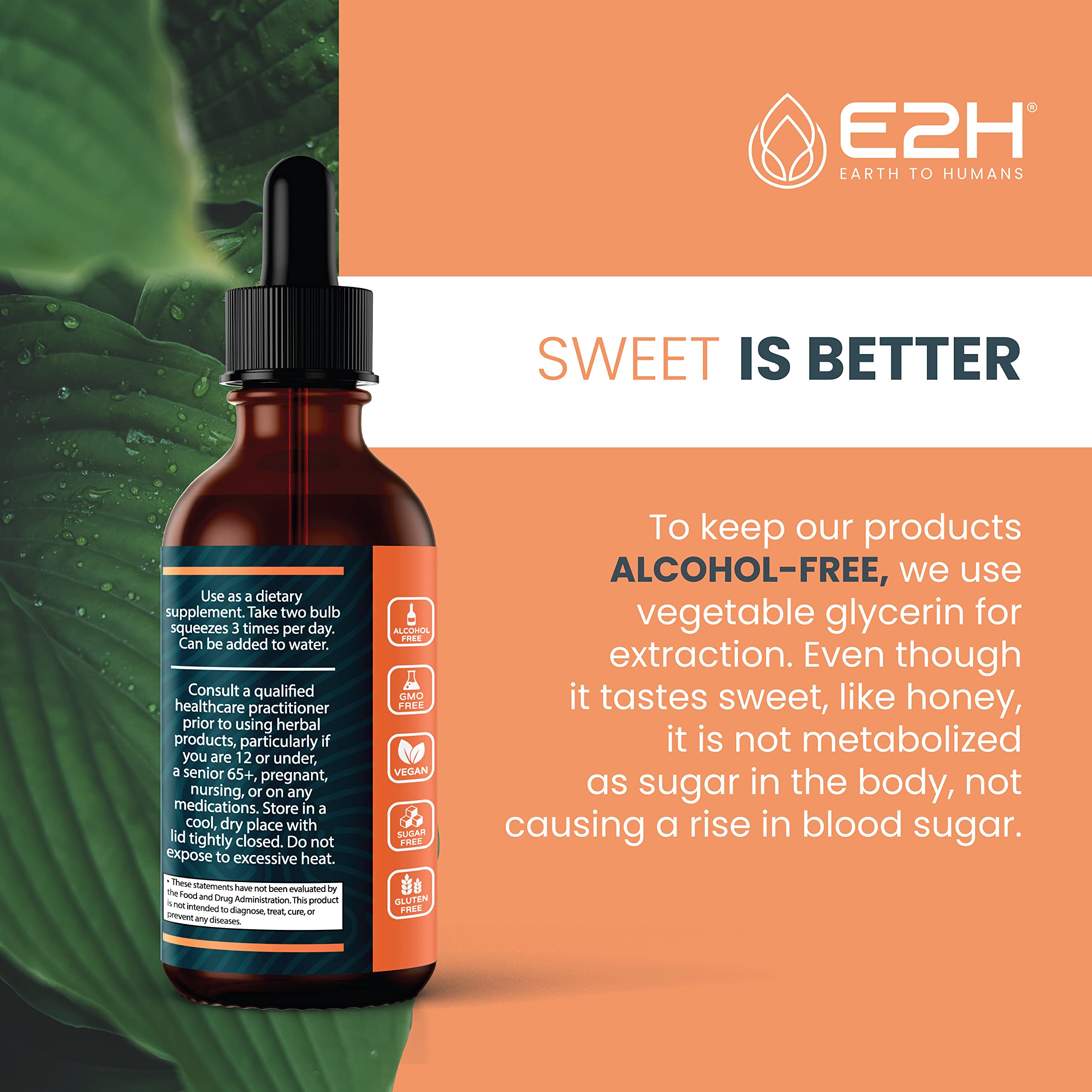 E2H Cordyceps Extract Liquid Drops back view