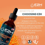 E2H Cordyceps Extract Liquid Drops on a kitchen counter