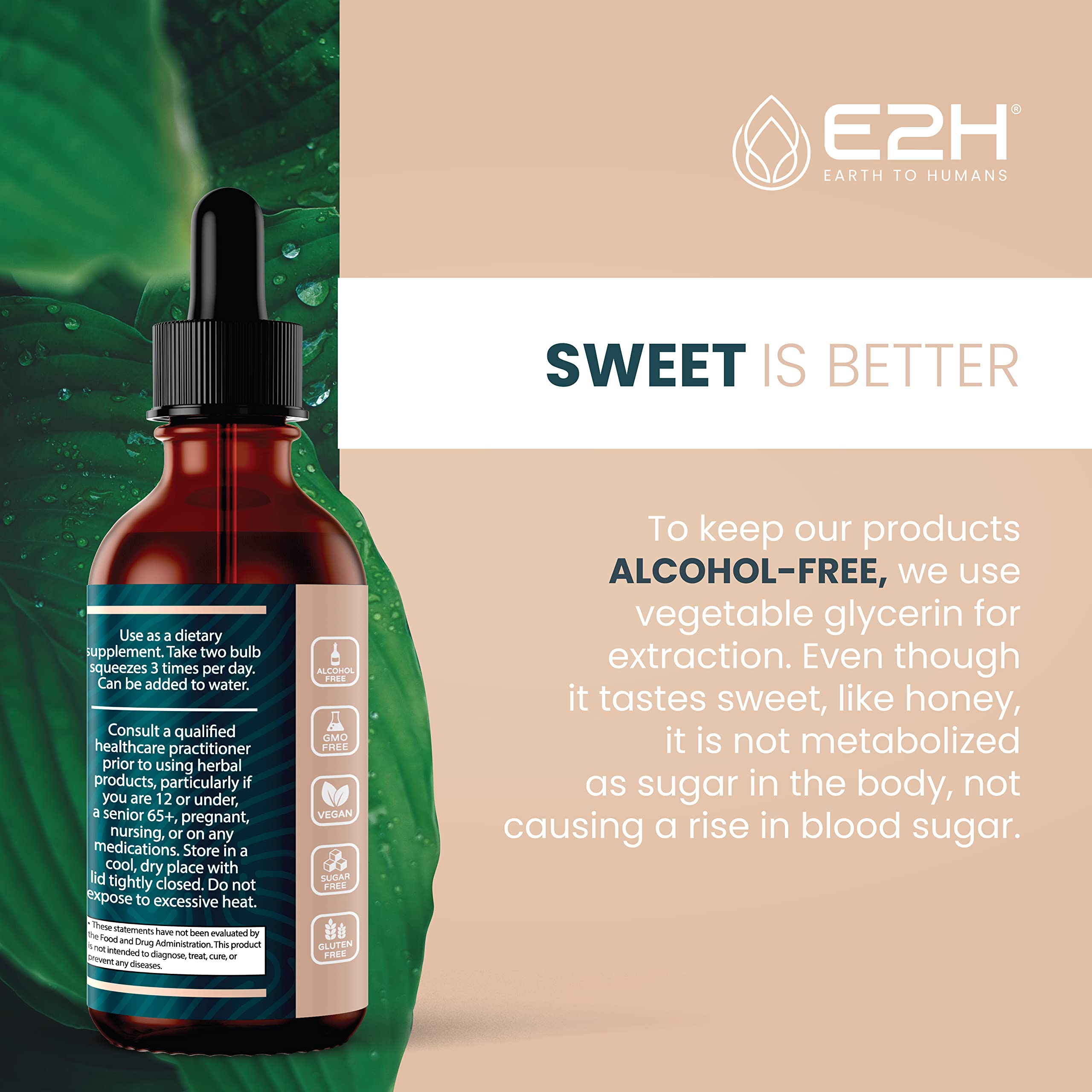 E2H EARTH TO HUMANS Reishi Mushroom Extract lifestyle scene