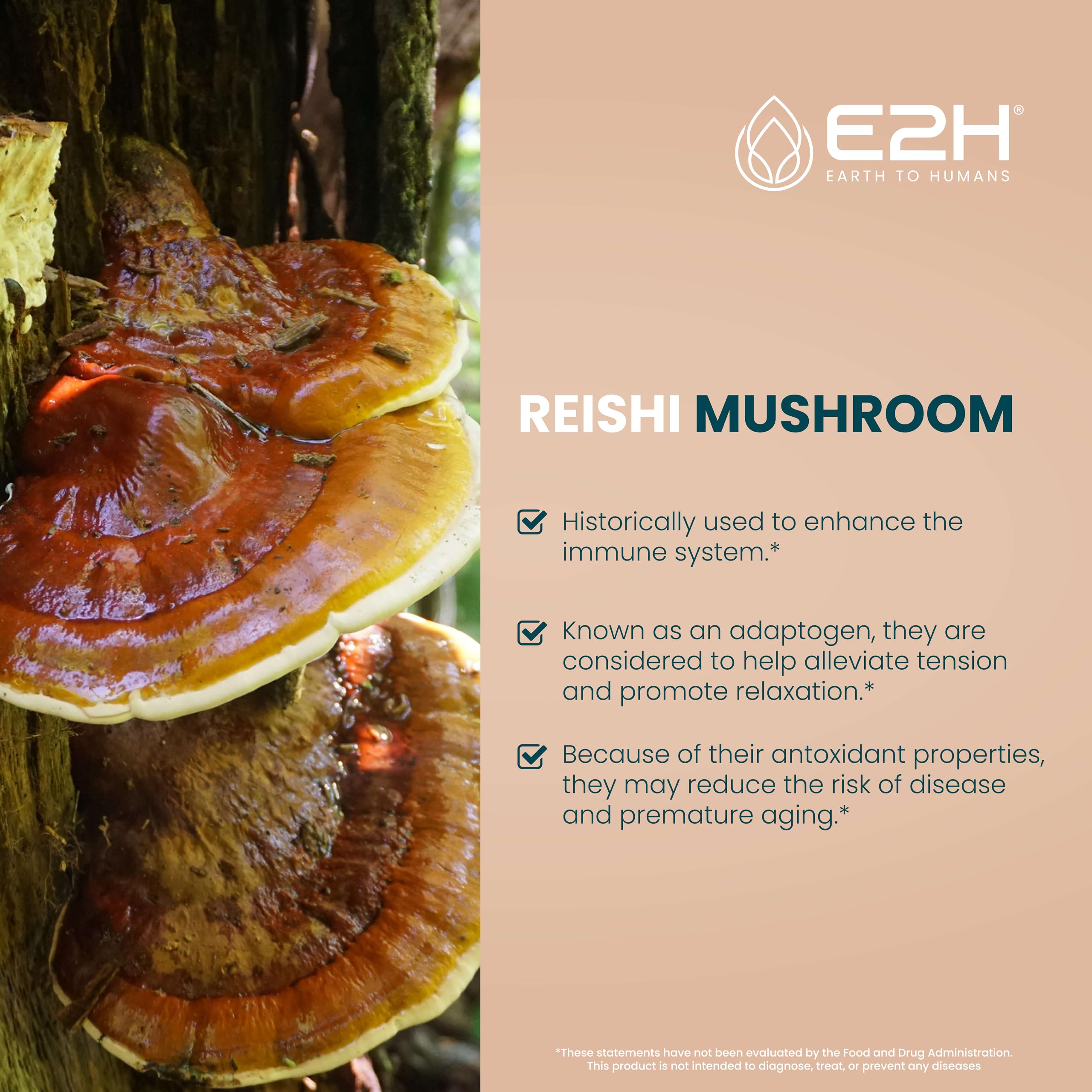 E2H EARTH TO HUMANS Reishi Mushroom Extract liquid dropper