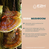 E2H EARTH TO HUMANS Reishi Mushroom Extract liquid dropper