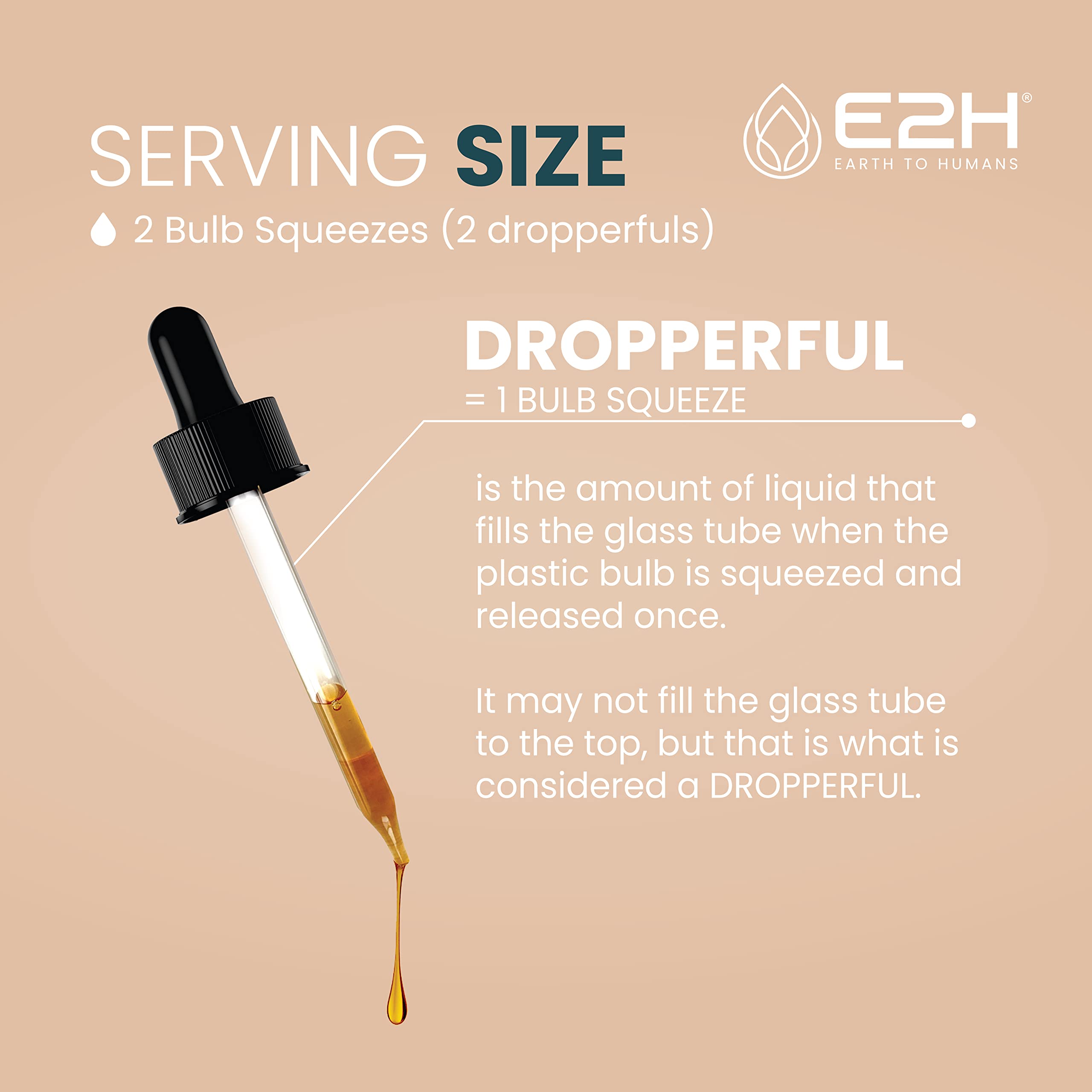 E2H EARTH TO HUMANS Reishi Mushroom Extract product label
