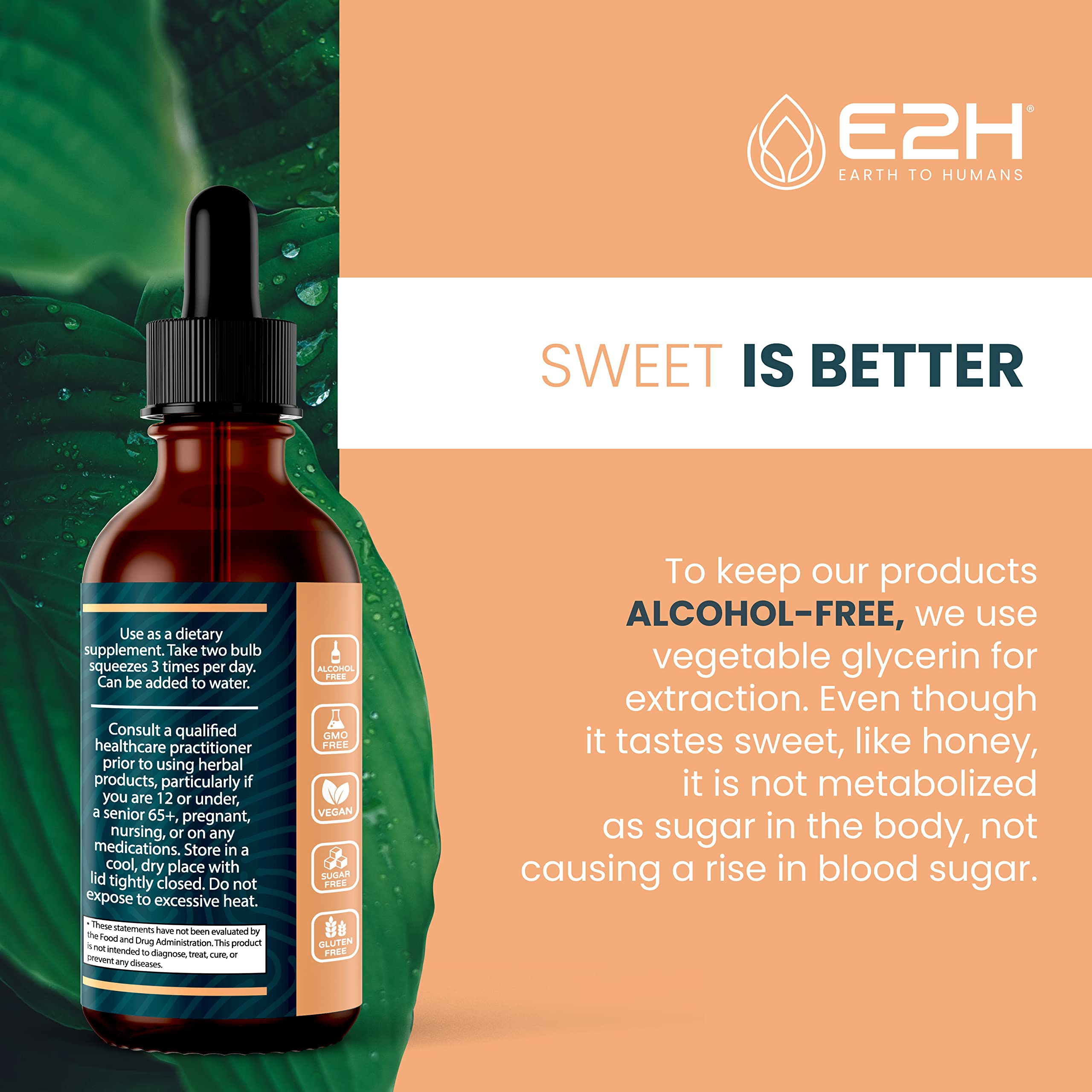 E2H Lion's Mane Mushroom Liquid Drops lifestyle shot