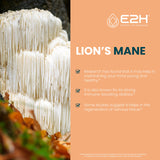 E2H Lion's Mane Mushroom Liquid Drops side view