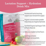 Earth Mama Milk Thistle Herbal Supplement stick pack