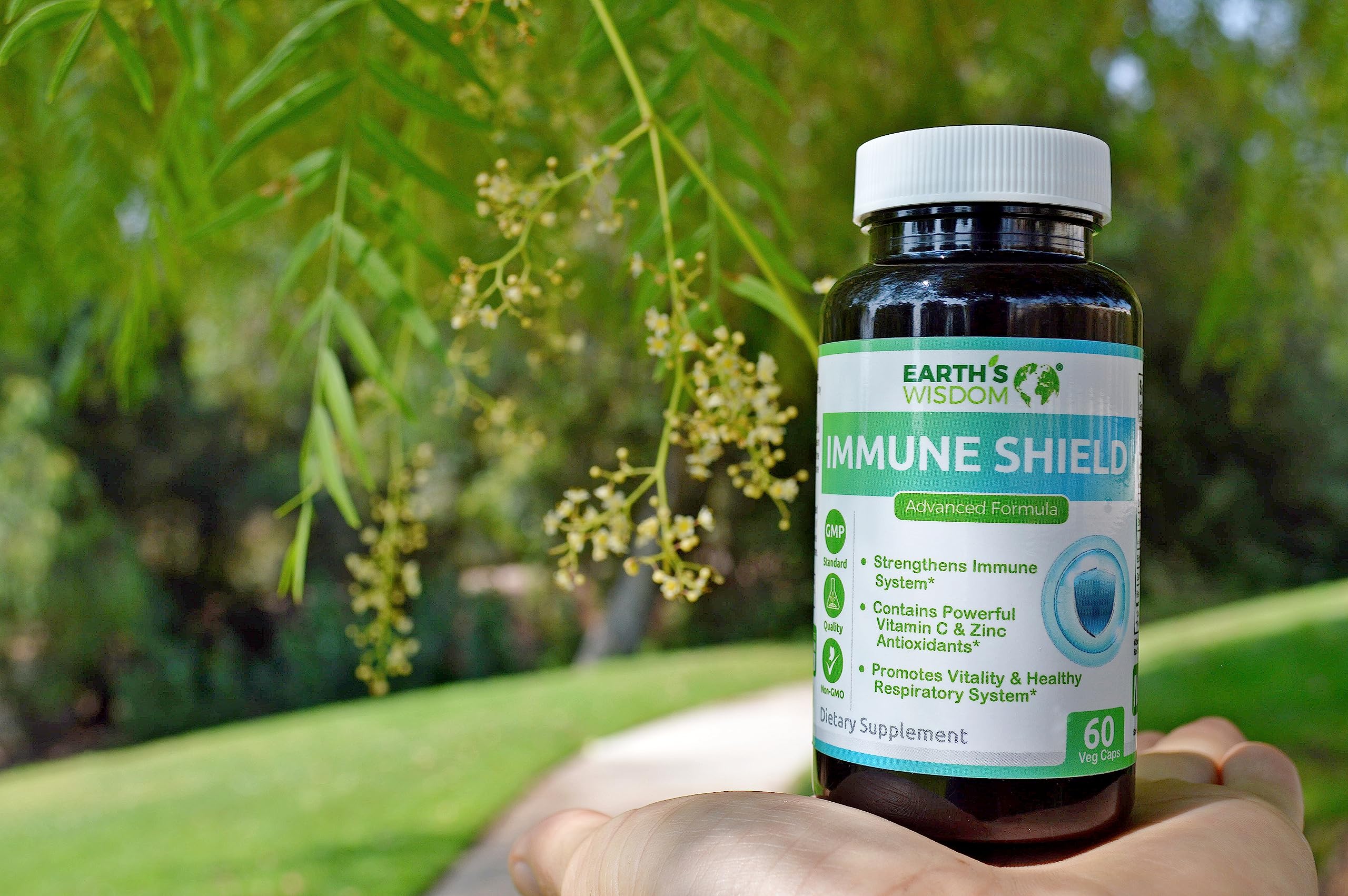 Earth's Wisdom Elderberry supplement capsules and fresh elderberries