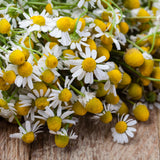 Earthborn Elements Chamomile Extract Capsules close-up of capsules