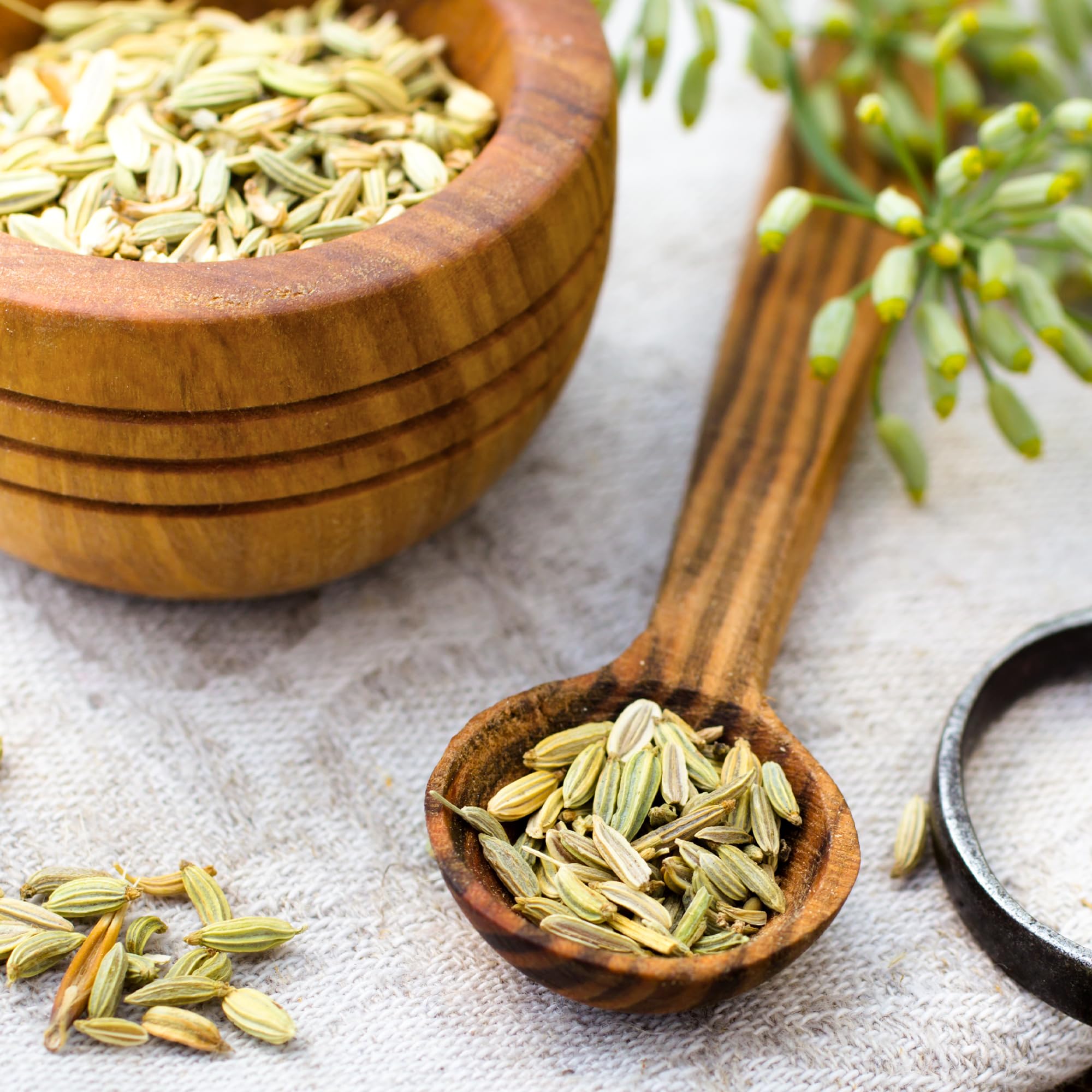 Earthborn Elements Fennel Seed Capsules with measuring spoon