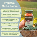 EarthFirst Organic Prenatal Vitamins tablet close-up
