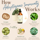 Earthley Wellness Adaptogenic daily wellness supplement packaging
