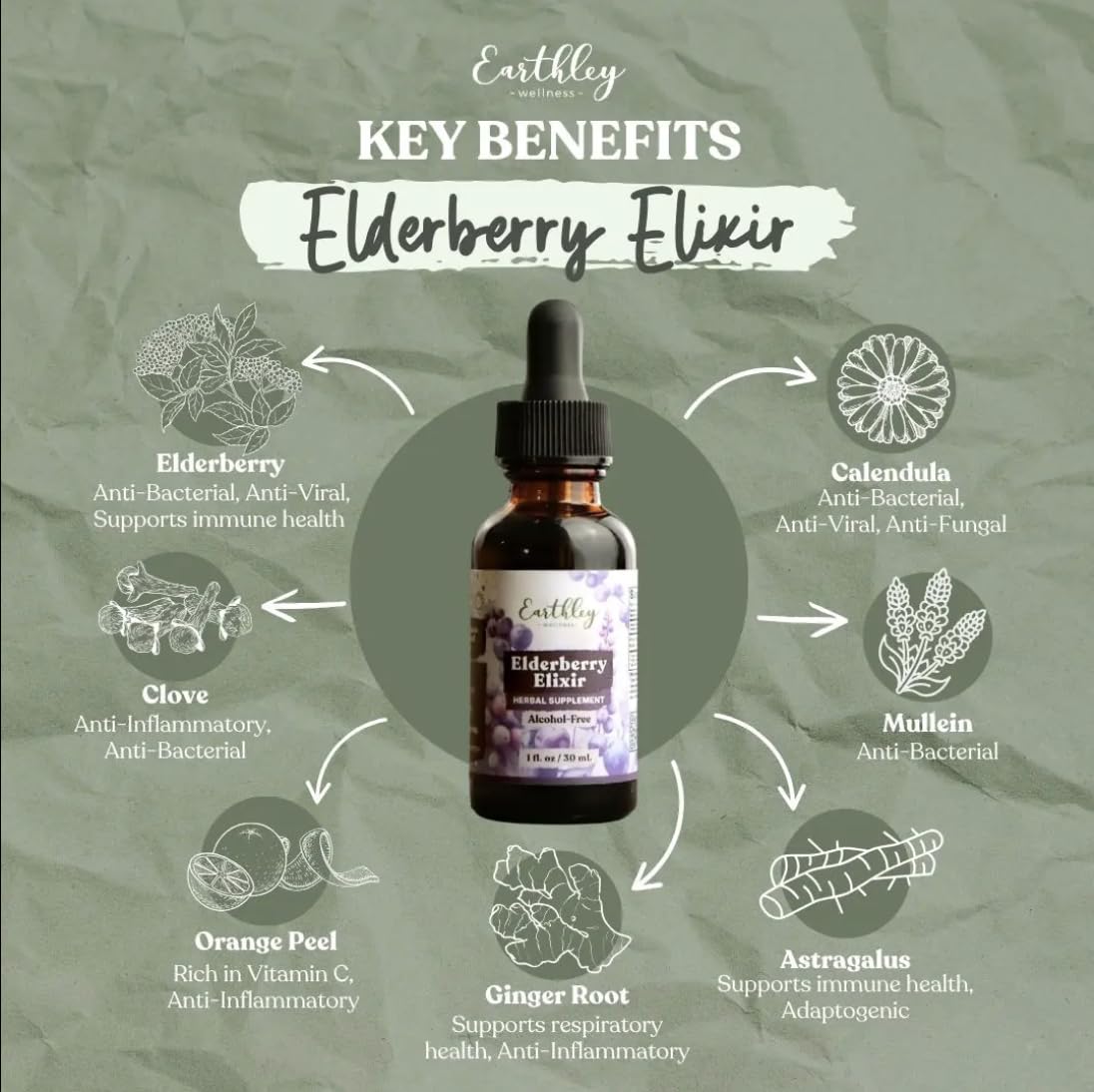 Earthley Wellness Elderberry Supplement ingredients list