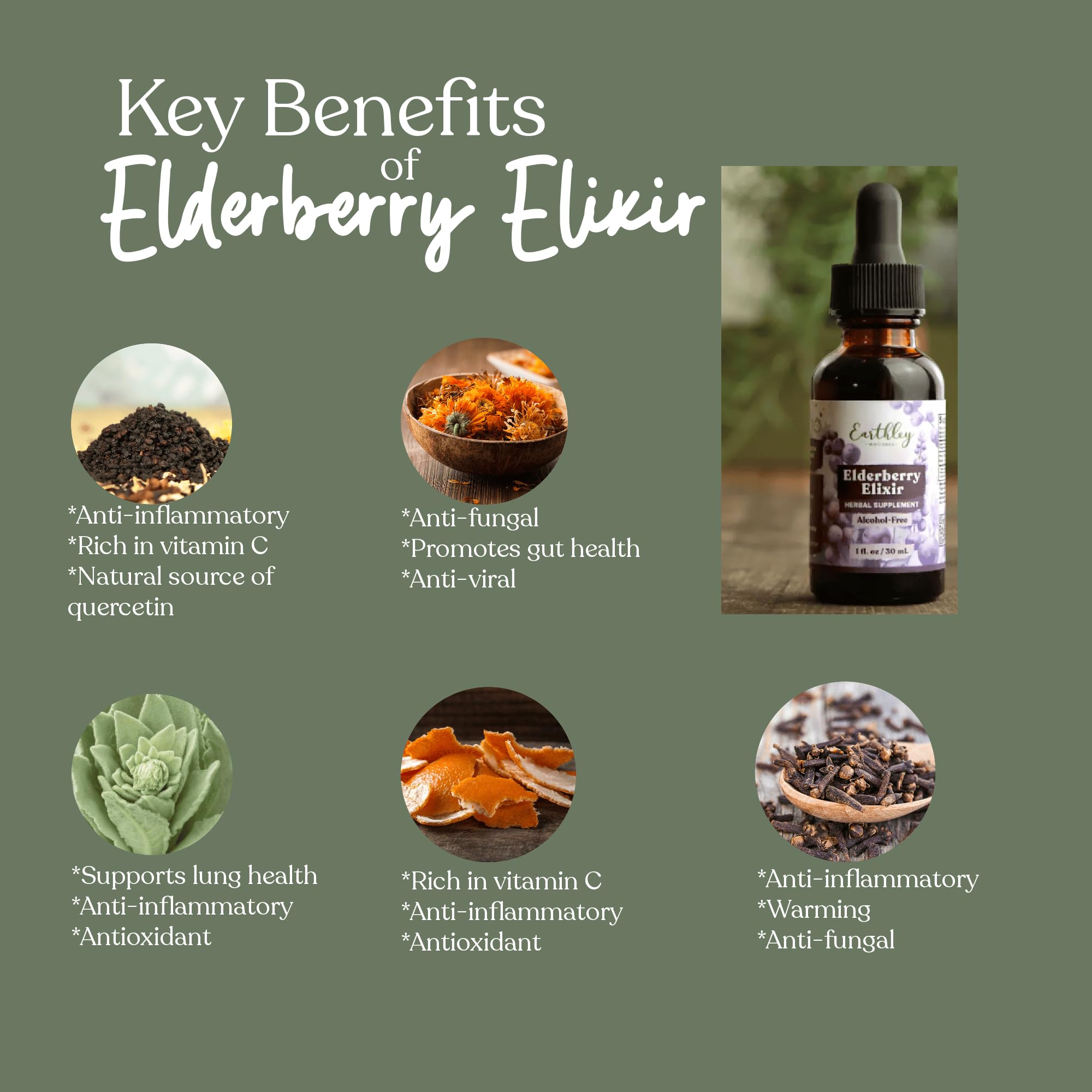 Earthley Wellness Elderberry Supplement side view showing dosage