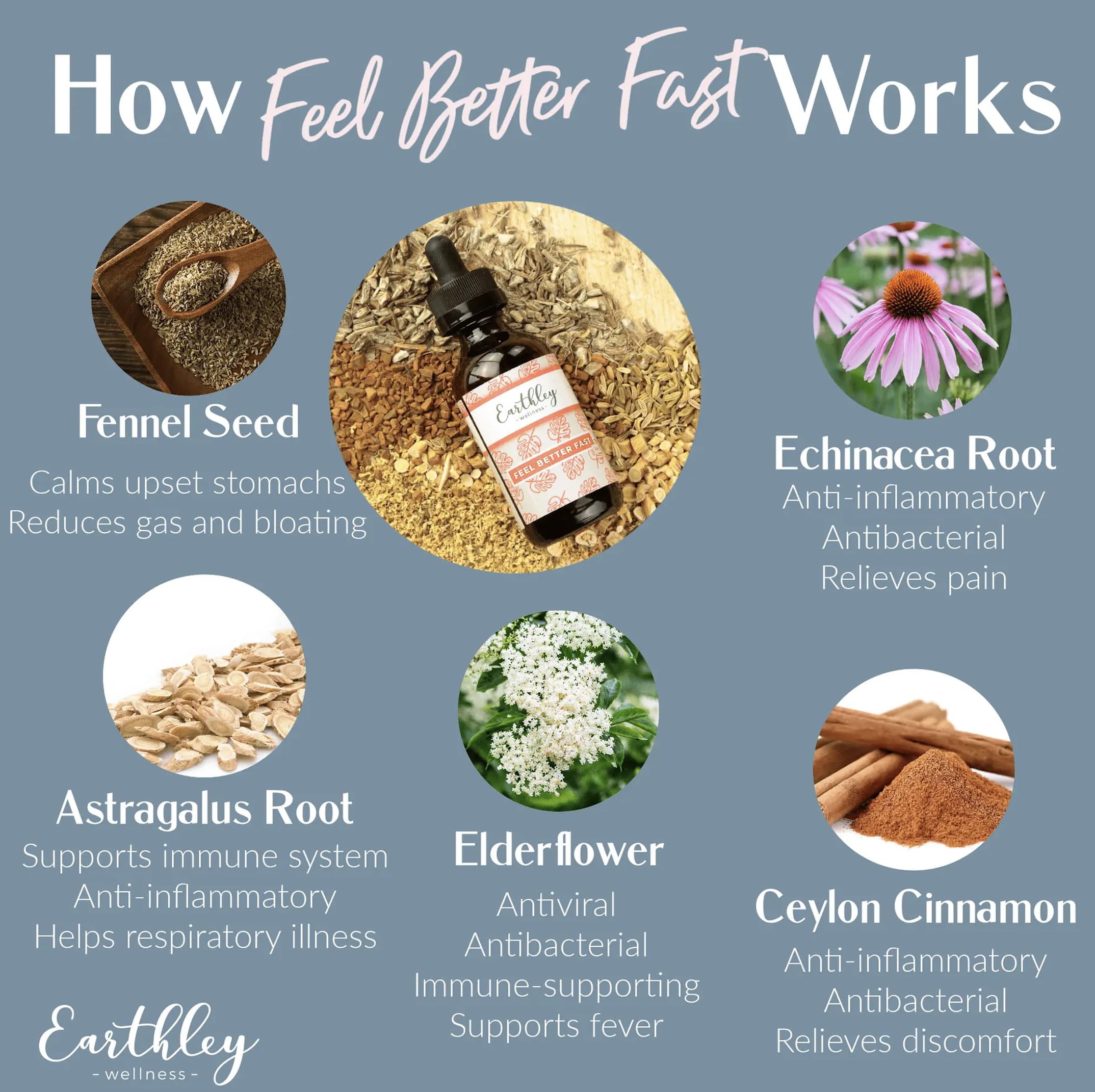 Earthley Wellness Feel Better Fast Herbal Supplement ingredients list