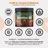EarthNutri Creatine Monohydrate Powder scoop with powder