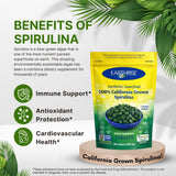 Earthrise Spirulina powder in a bowl