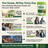 Easinloty Organic Moringa Powder with herbal ingredients