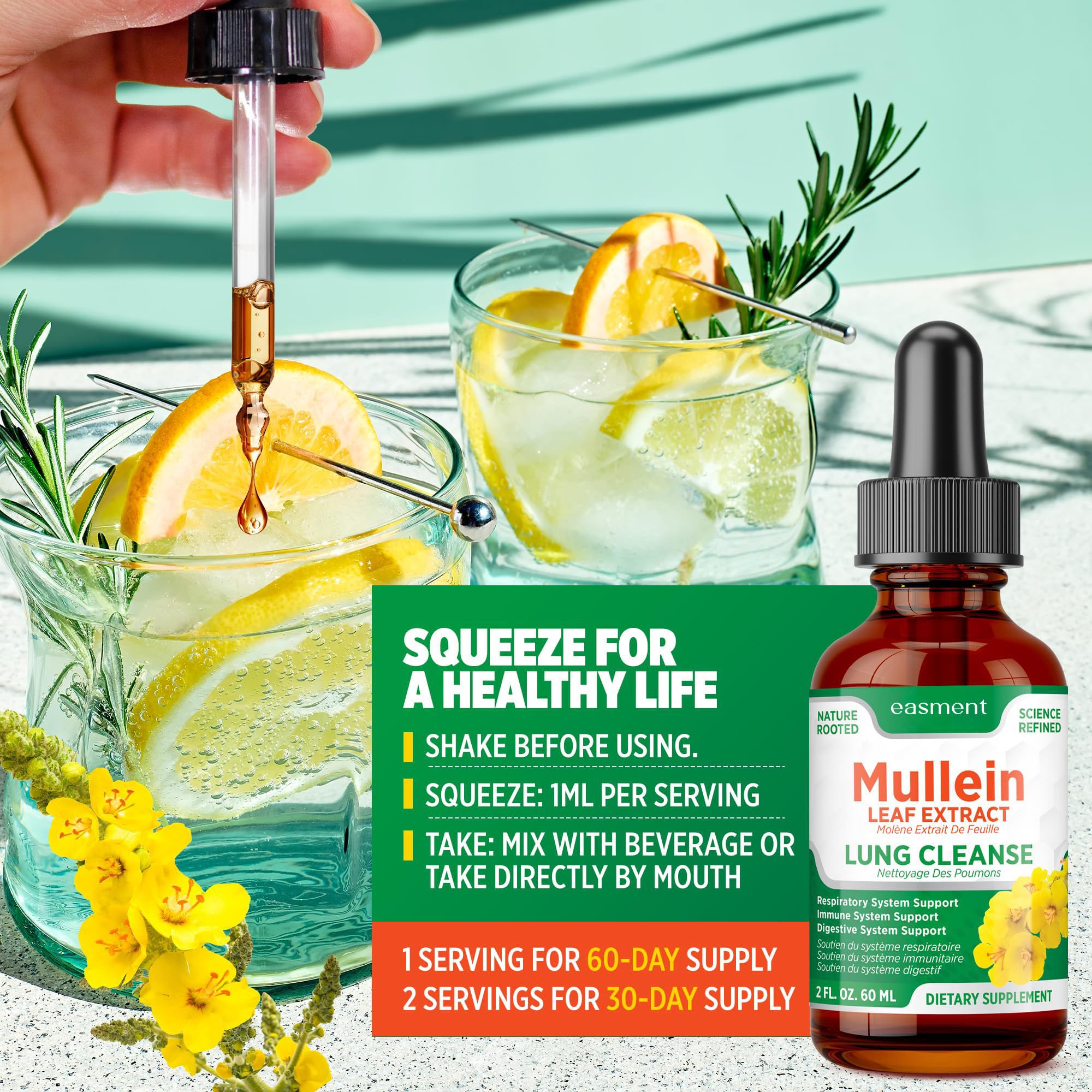 Easment Mullein Leaf Extract Herbal Drops close-up of dropper