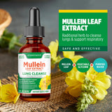 Easment Mullein Leaf Extract Herbal Drops in a glass with water