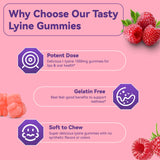EAZGOO L-Lysine 1000mg Gummies showing gummy texture