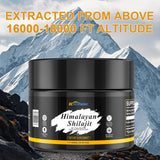 EC Hometec Pure Himalayan Shilajit Resin on a wooden table