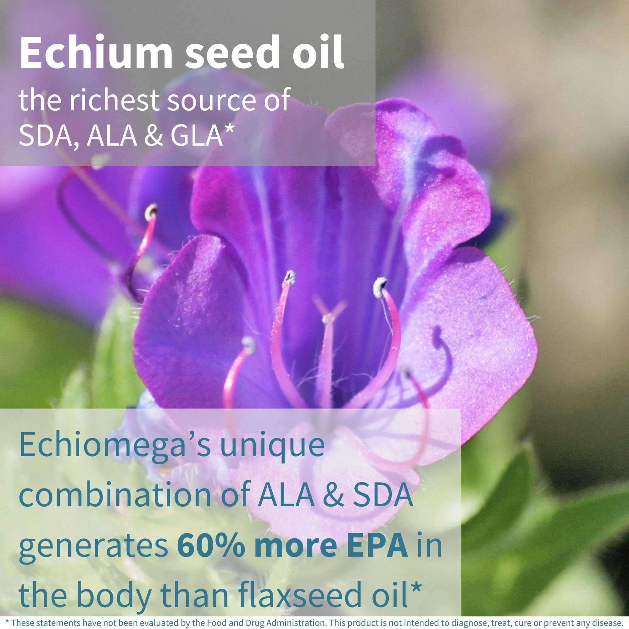 Echiomega Vegan Omega 3-6-9 Capsules side view