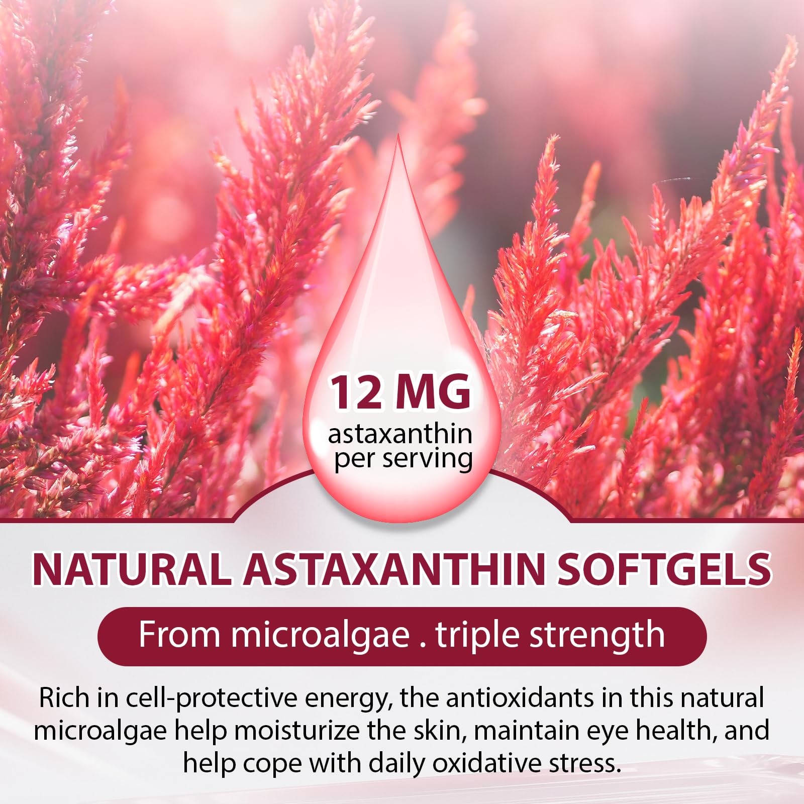 Echoes of the Spring Astaxanthin Softgels 12mg bottle with label
