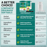 Echoes of the Spring Echinacea 240 Softgels back view with ingredients