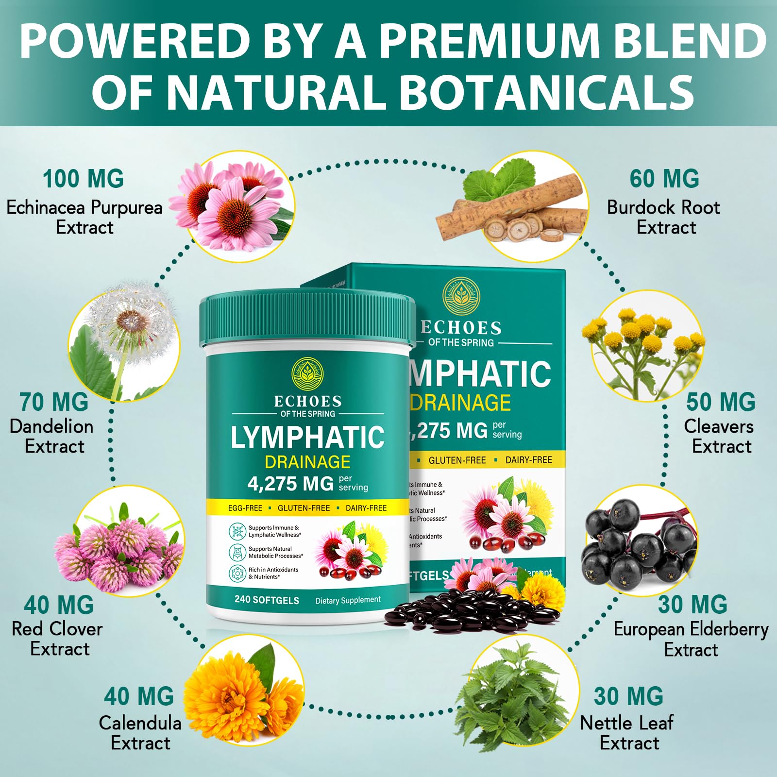 Echoes of the Spring Echinacea 240 Softgels side view with label